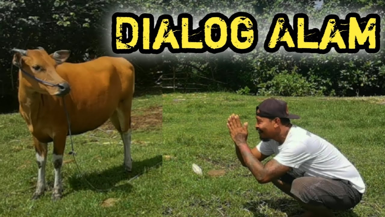 TUTORIAL SAMBUNG AKAR BONSAI WARU #bonsaiwaru #bonsaiindonesia #bonsaielement