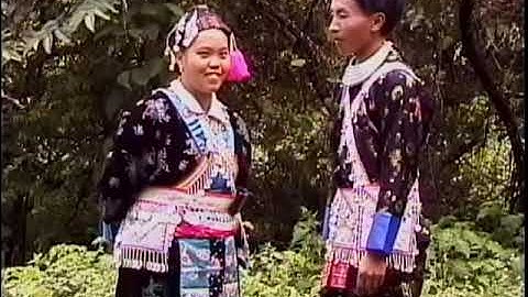 Neeb Vwj thiab Teb Lauj kwv txhiaj plees 3