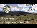Oligocene Bishop Conglomerate - The Rocks of Utah