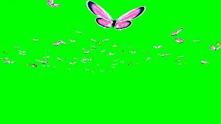 Green Screen Soaring Butterflies
Hope you like my video. please give me a like or even better subscribe to help me build my channel. Bye for now. Two types of butterflies here.
FREE Green Screen Effects. Free Animated Background. Please Subscribe.
FREE Green Screen Effects. Please Subscribe. Please hit that LIKE Button.
HELP ME REACH 100,000 SUBSCRIPTIONS! THANK YOU FOR WATCHING.
Green Screen For Making Amazing Videos Free!
#kagigreenscreen
ππππππ Green Screen Soaring Butterflies