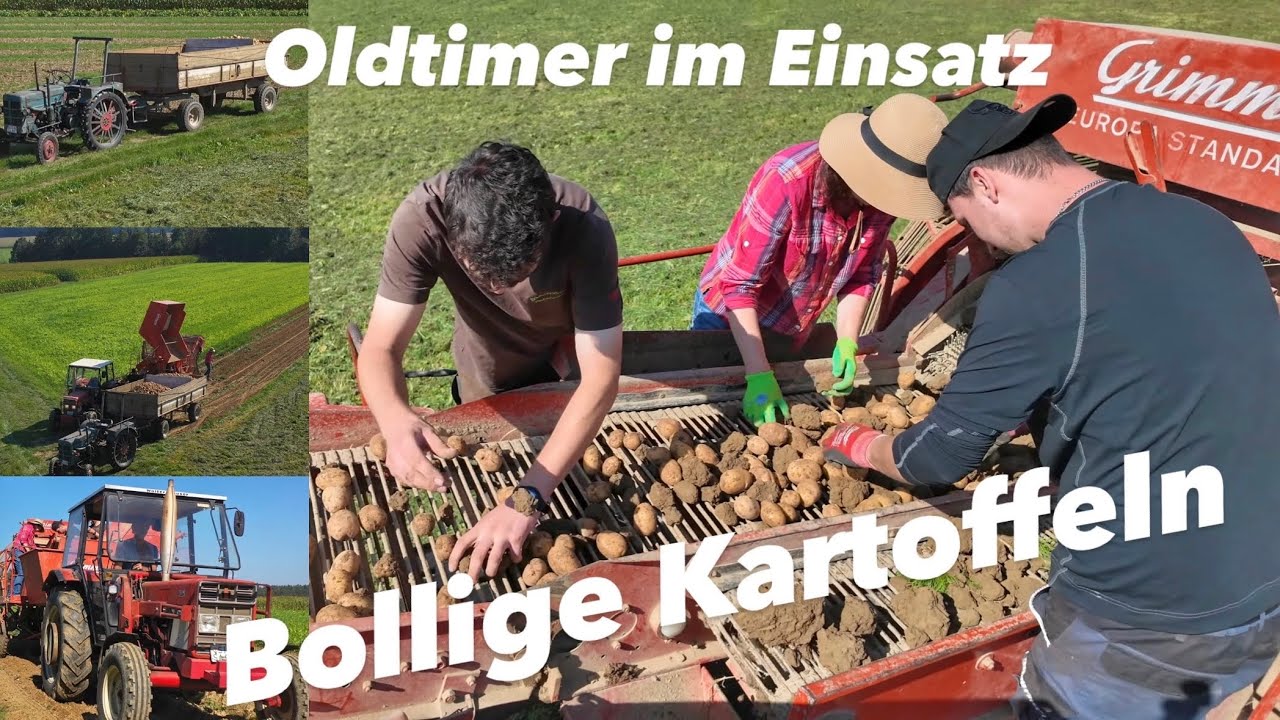 Kartoffeln Roden | Hanomag R16 | IHC 433 | Grimme Europa Standard | Bauernhofteam