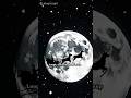 Funny Christmas Animals Story 🎄🐾 | Motivation in 60 Seconds #Shorts