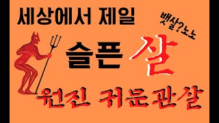 세상에서 제일 슬픈살-?원진귀문관살