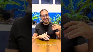 İlişkideki Sınırlar