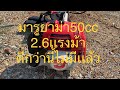 เครื่องตัดหญ้า 2 จังหวะ มารูยาม่า  อึดทน ราคาถูก Ep37- รีวิว