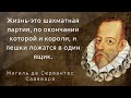 Лучше узнать эти Цитаты Заранее, чтобы потом не жалеть