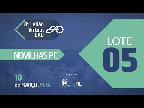 LOTE 05