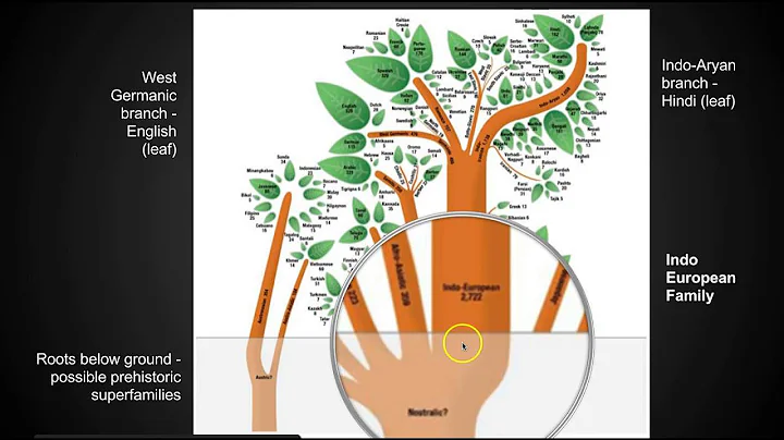 Chapter 5 Key Issue 1 - Language - AP Human Geography