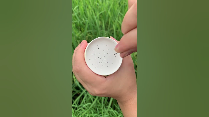 DIY Paper Cup Tea Filter Hack #outdoors #bushcraft #camping #survival #shorts