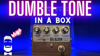 Amplified Nation Big Bloom - OMG This Is AMAZING! Dumble Amp Tone In A Box!