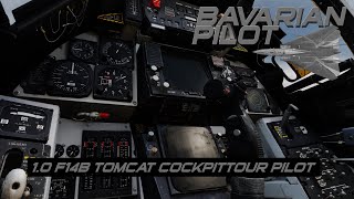 1.0 F14B Cockpittour | Pilot | DCS World | Heatblur