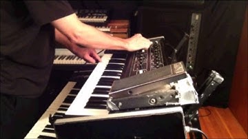 Multimoog - Start Here: Piktor