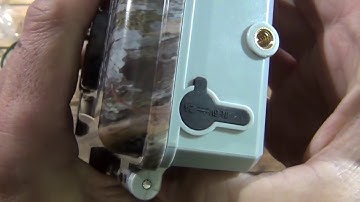 BlazeVideo Night Vision 1920x1080P Trail Camera