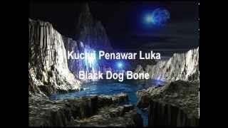 Kucari Penawar Luka - Black Dog Bone