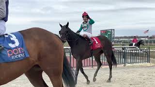 Starship Laoban & Jockey Ruben Silvera Win