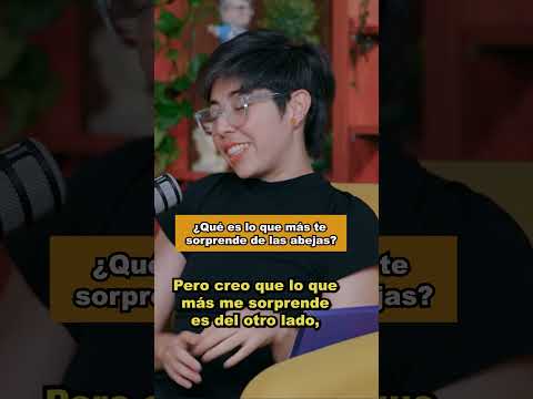ABEJAS en TENGO MUCHAS PREGUNTAS AL RESPECTO