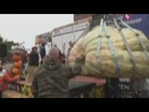 American record smashed at pumpkin weigh-off
