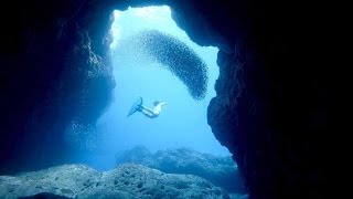 Freediving - Arches & Shoals September 2016, Hachijo