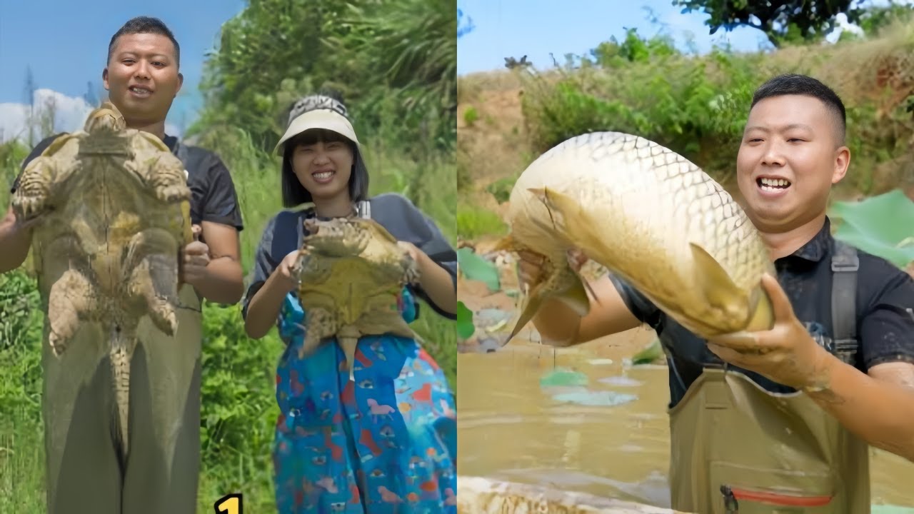200元包下一个钓鱼差点被拉下去的荒唐，没想到里面竟然有大鳄龟