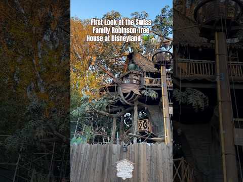 Is The Furniture In Swiss Family Robinson Treehouse At Disneyland