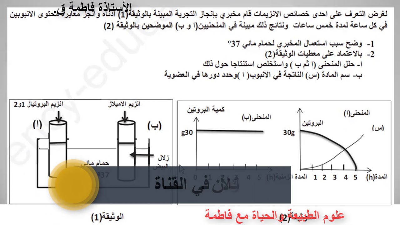 راجع معي تمارين حول هضم الاغذية وعمل الانزيم للرابعة متوسط
