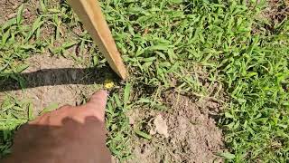 Surveying video 4 