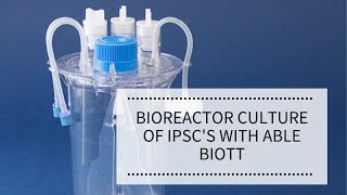 Bioreactor Culture of iPSC's with ABLE Biott | REPROCELL