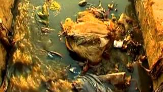 Earth Focus: India's Sanitation Solutions