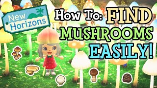 🍄 Get Mushrooms for Mush Items EASY | Animal Crossing New Horizons 🍄