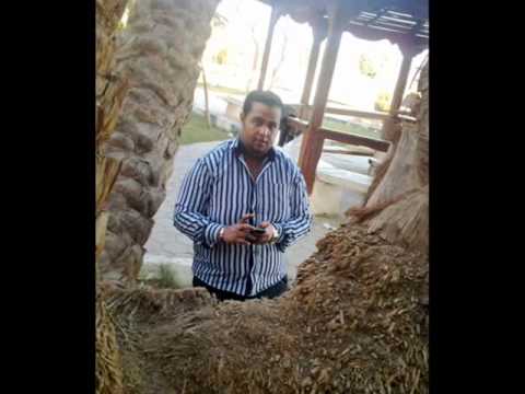  امال ماهر اول ما يشوفنى