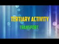 Tertiary Economic Activity : Transport