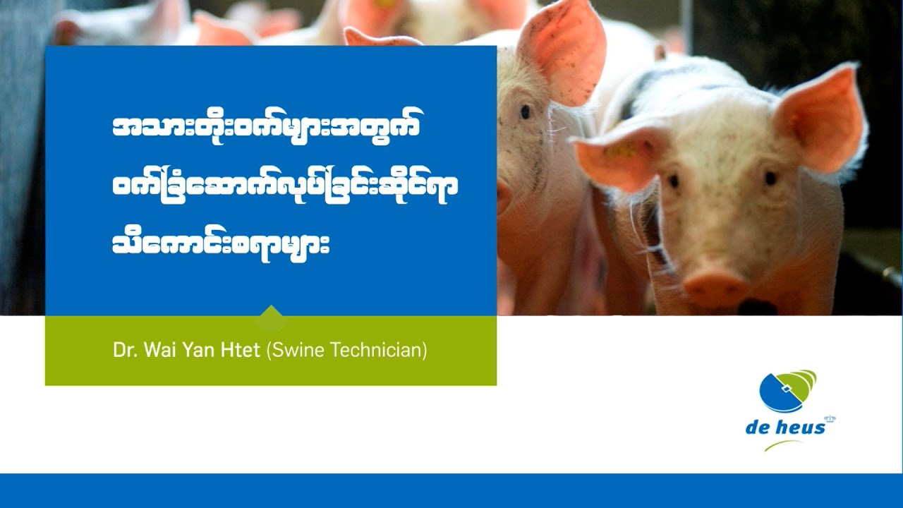 swine-farm-design-by-dr-wai-yan-htet-youtube