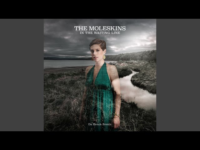 The Moleskins - In The Waiting Line