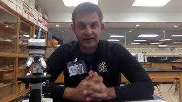 Magnification and Resolution