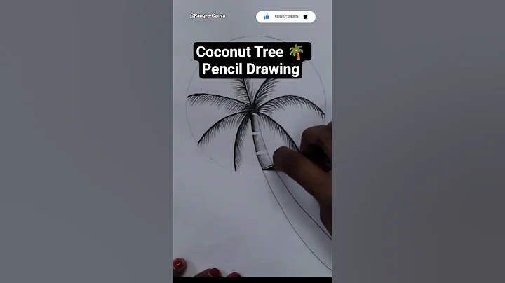 Coconut Tree Pencil Drawing 🌴✏️