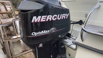 Mercury Optimax 115 hp 2006