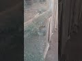 Mimi Nawaza Kuzitafuta Pesa Wewe Upo Bize Ushoga Mimi Nawaza Kuzitafuta Pesa Wewe Upo Bize Ushoga