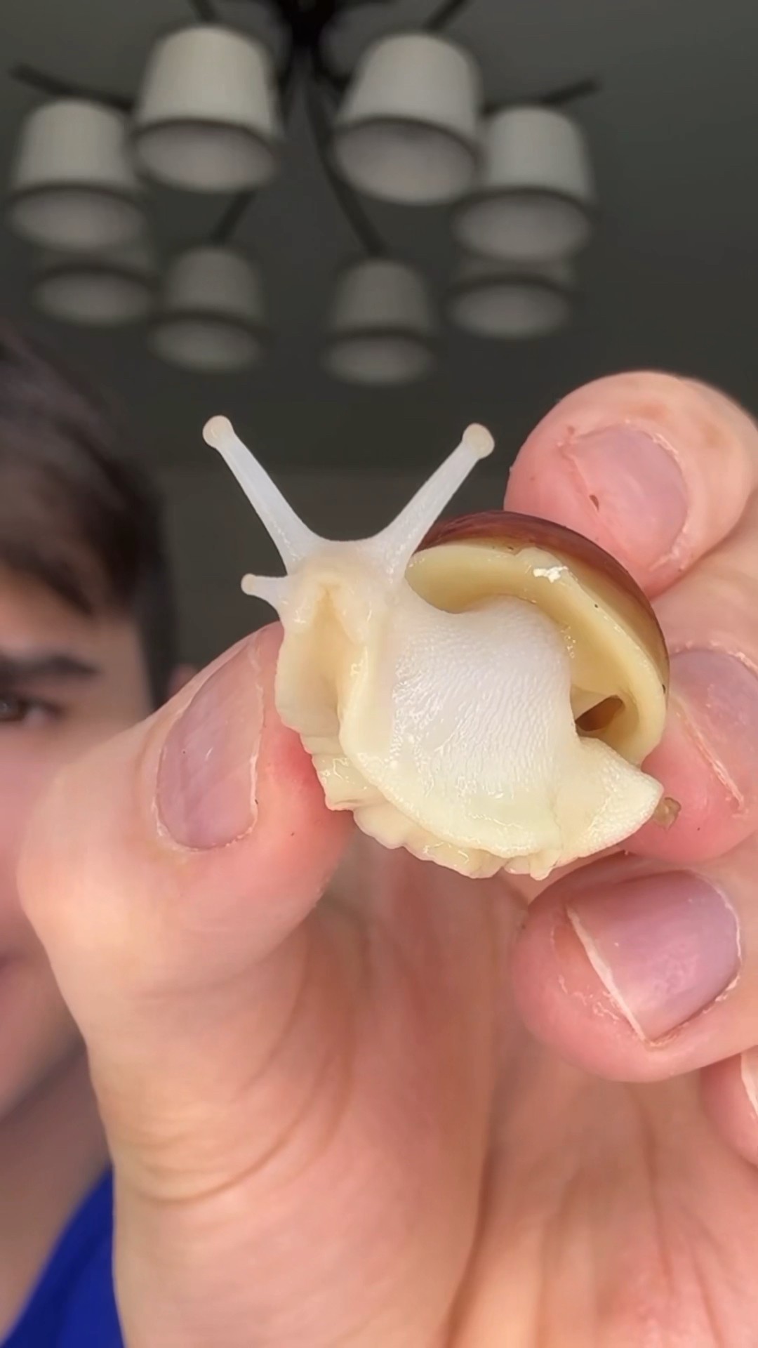 Radmiru beauty hacks! ? #shorts