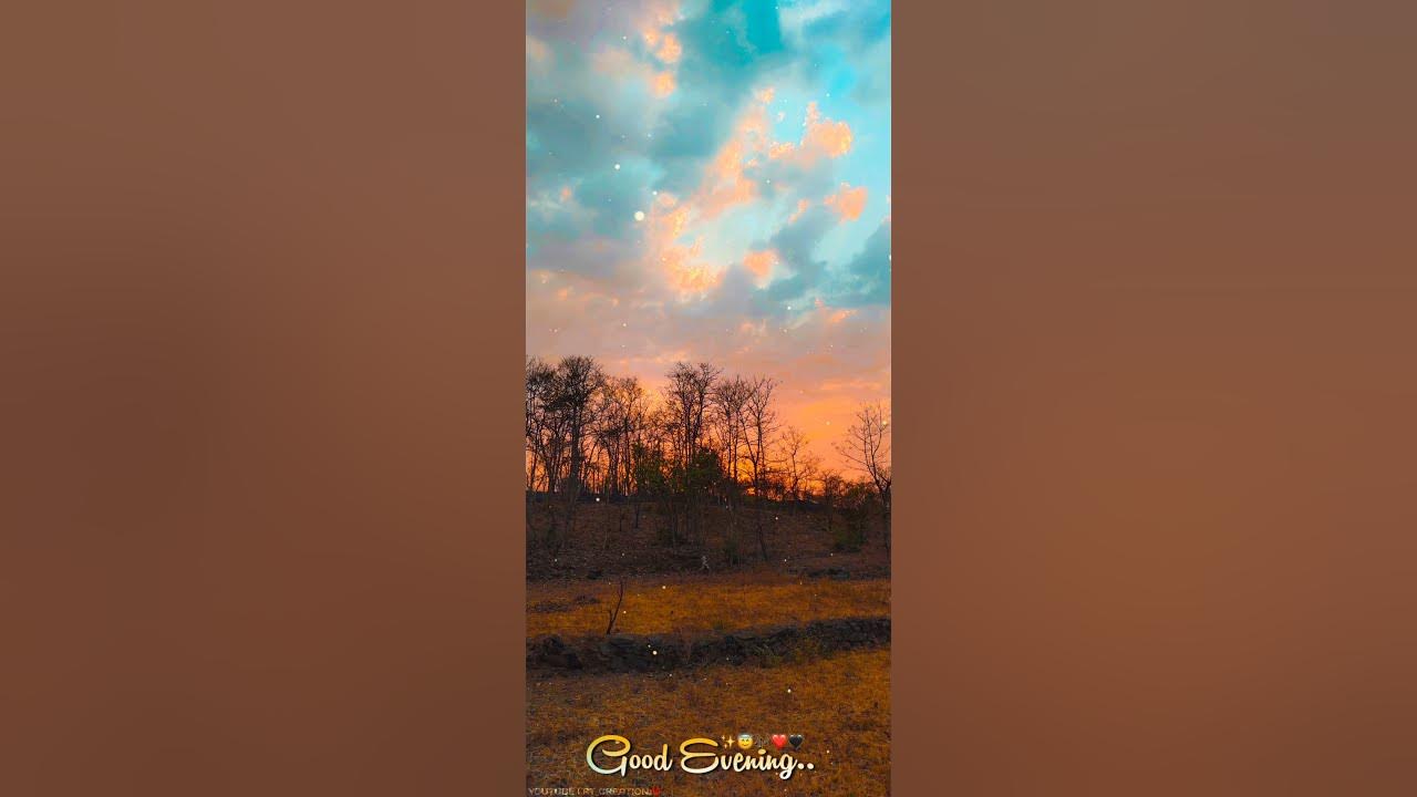 New Good Evening Whatsapp Status | Evening 4k Status New Good Evening Whatsapp Status | Evening 4k Status
