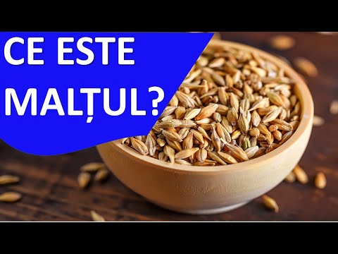 Video: Ce este malțul în bere?