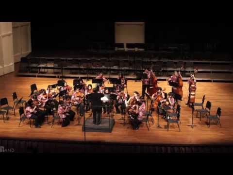 Regal Procession | Niu Valley MS Beginning Strings | 2011 HASTA Parade of Orchestras