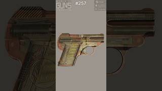 Steyr-Pieper 1909 Pocket Pistol Slow Motion Shot