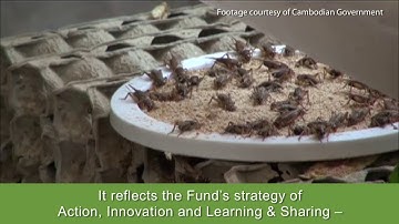 Adaptation Fund Cambodia Project Video