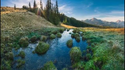 سورة الملك بصوت الشيخ نبيل الرفاعى  ..صوت خاشع
