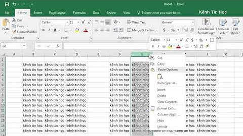 Học Excel cơ bản   #9   Cách chèn và cách xóa dòng, cột trong Excel 2016