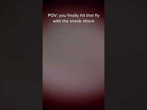 POV: you finally