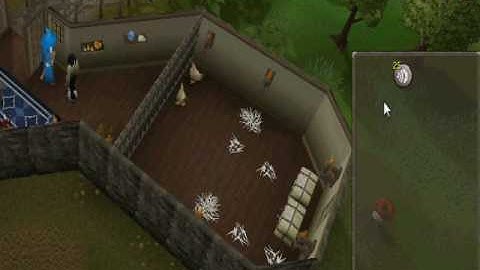 Runescape Tutorial Island Glitch