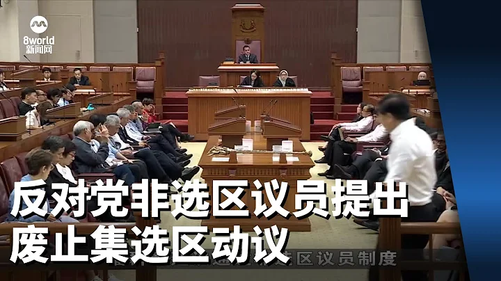 反對黨非選區議員提出廢止集選區動議 - 天天要聞