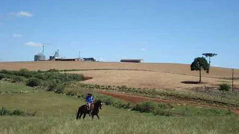 Onde fica o velho casarão do Teixeirinha?