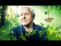 David Attenborough, The Wild Man (2016): 60 Minutes Australia